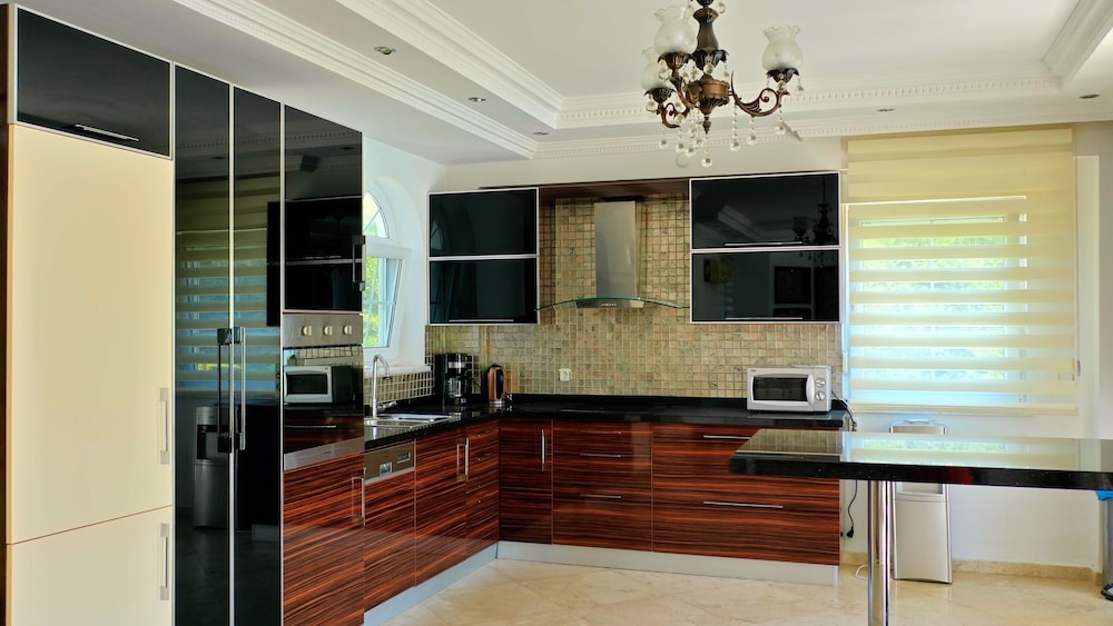 Luxury Villa photo 3