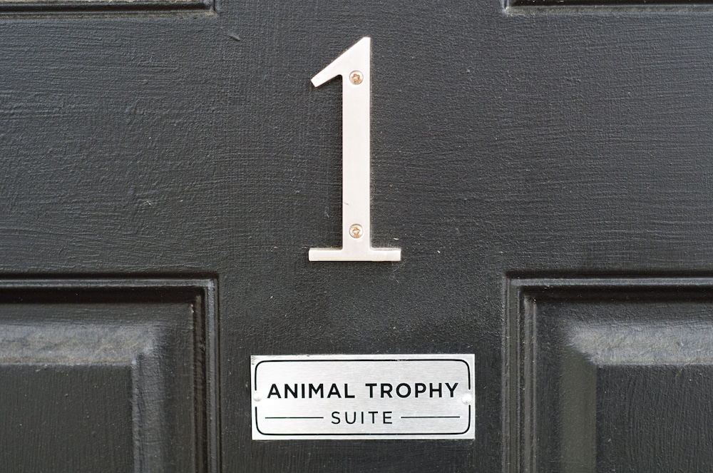 NO. 1 Animal Trophy Suite photo 3