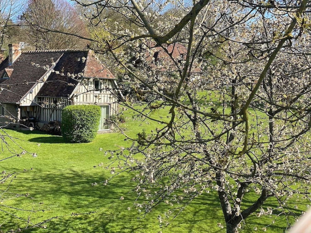 House, Garden View photo 3