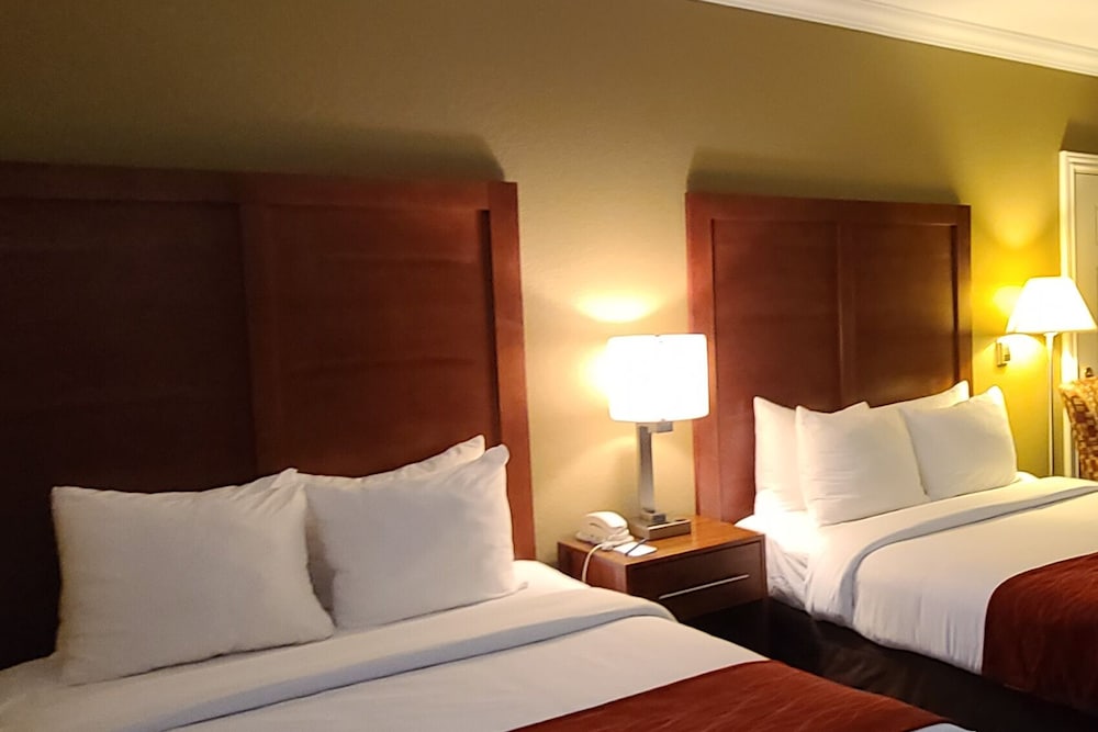 Basic Room, 2 Queen Beds photo 2