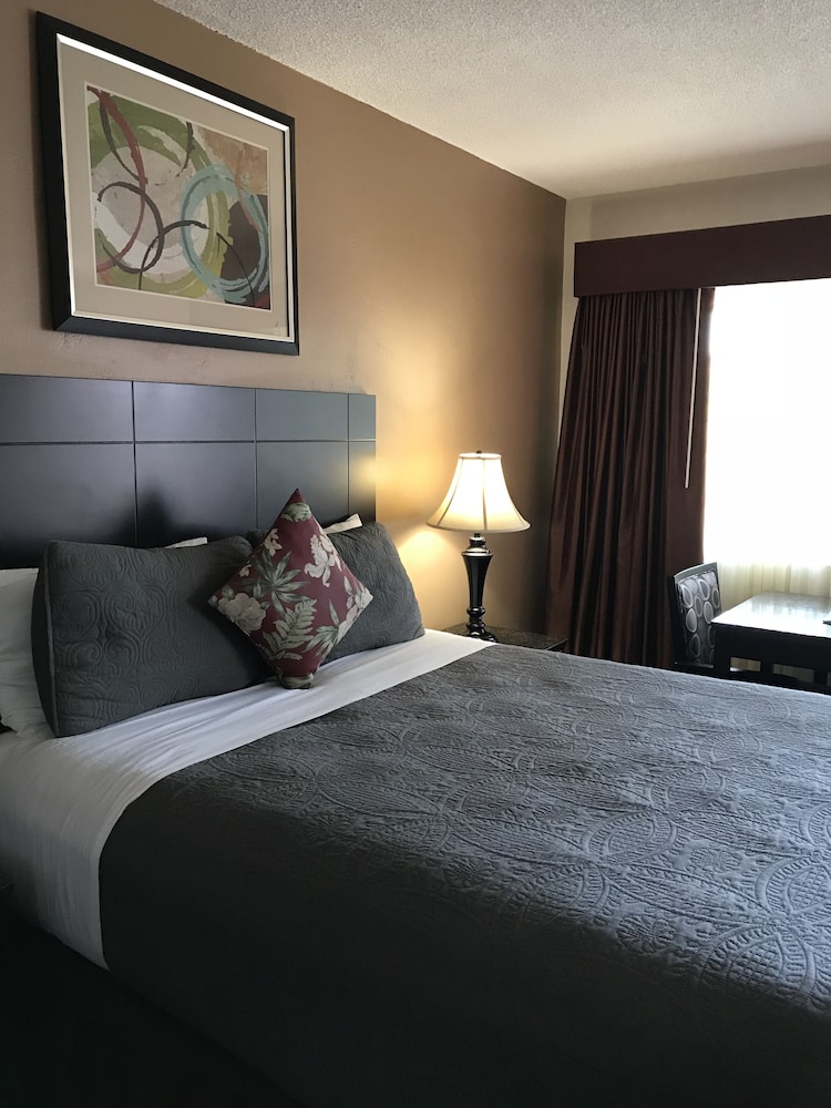 Traditional Room, 1 Queen Bed photo 1