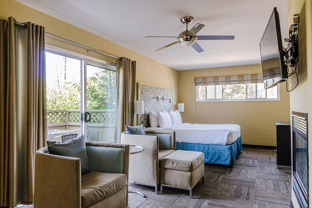 Studio Suite, 1 King Bed, Kitchen (Terrace)