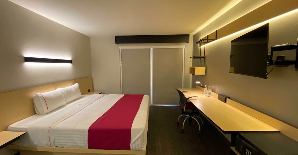 Comfort Studio Suite photo 3