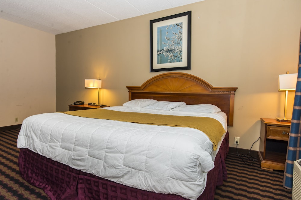 Standard Room, 1 King Bed photo 3