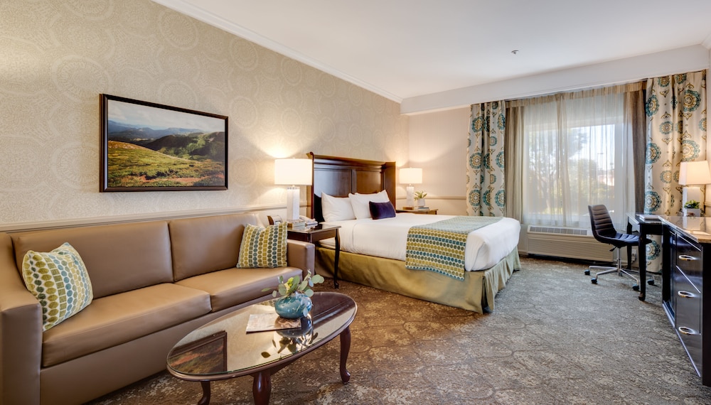 King Studio Suite - Photo 1