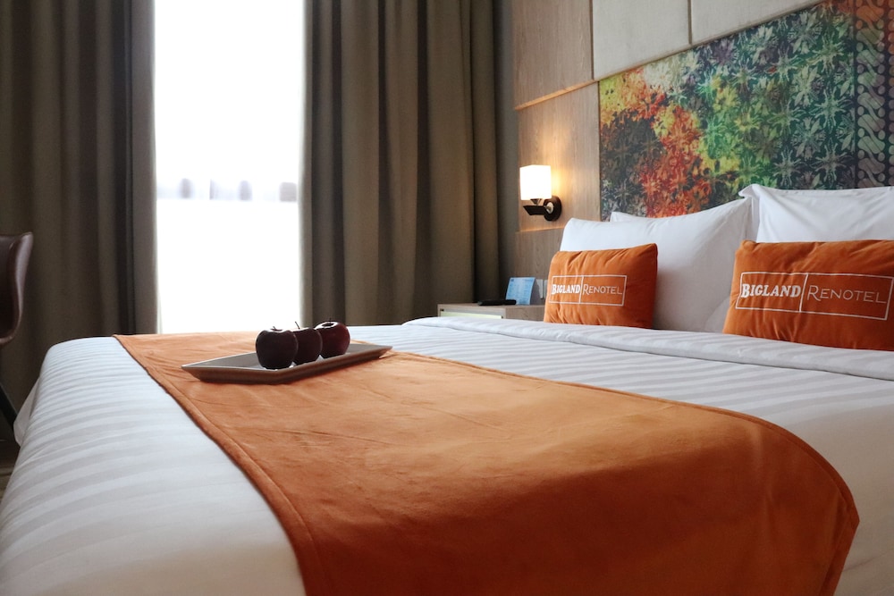Deluxe King Balcony - Photo 5