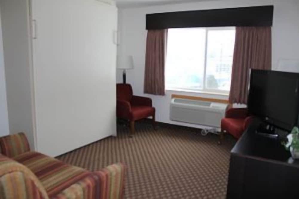 King Suite, 1 Bedroom photo 2