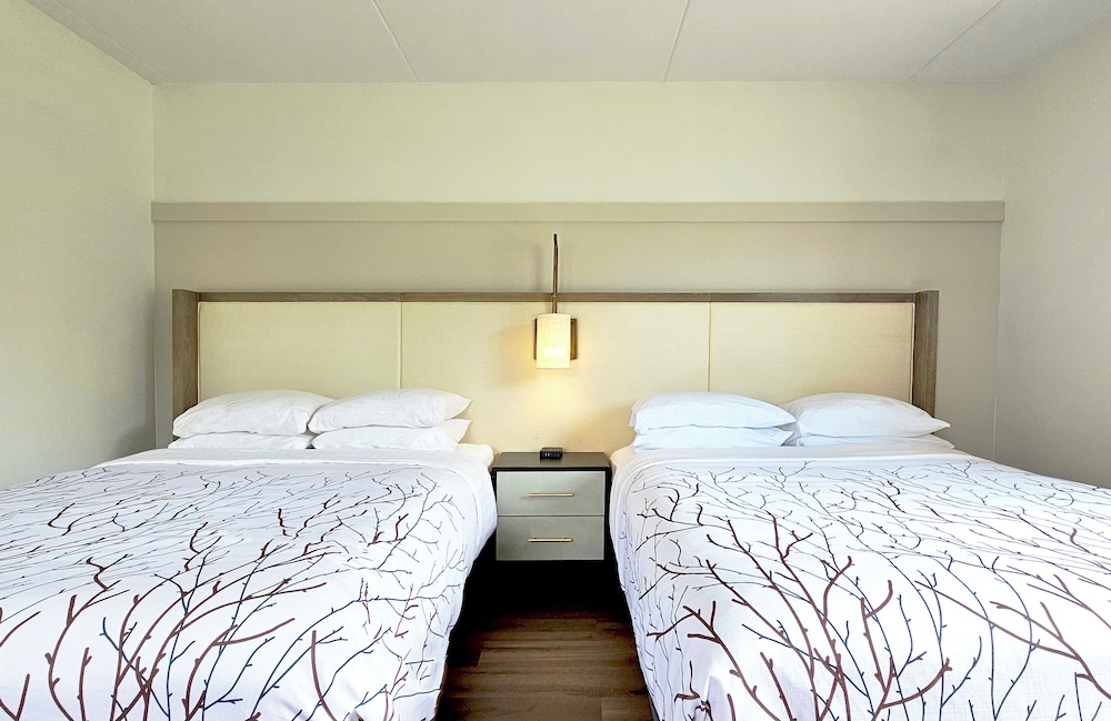 Premium Room, 2 Queen Beds, Mountain View