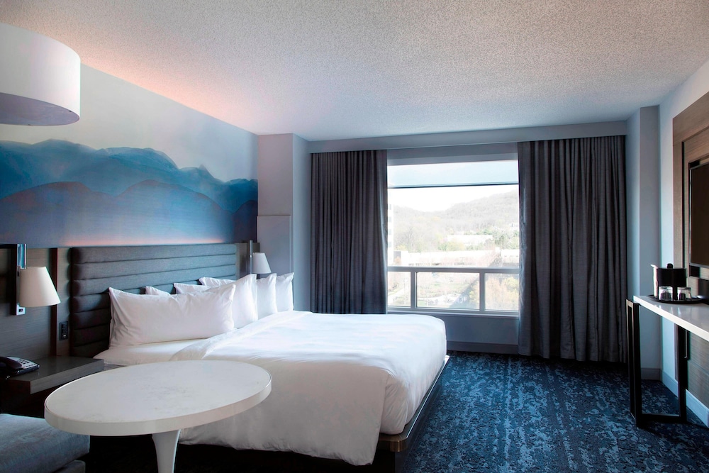Room, 1 King Bed (Mobility Accessible, Roll-in Shower) photo 3
