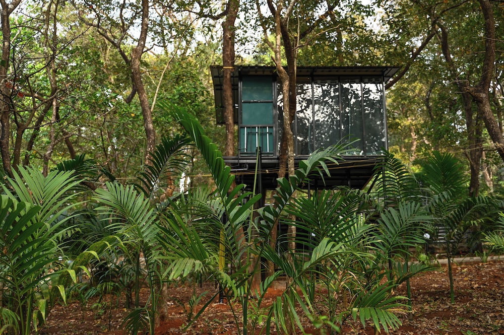 Comfort Tree House