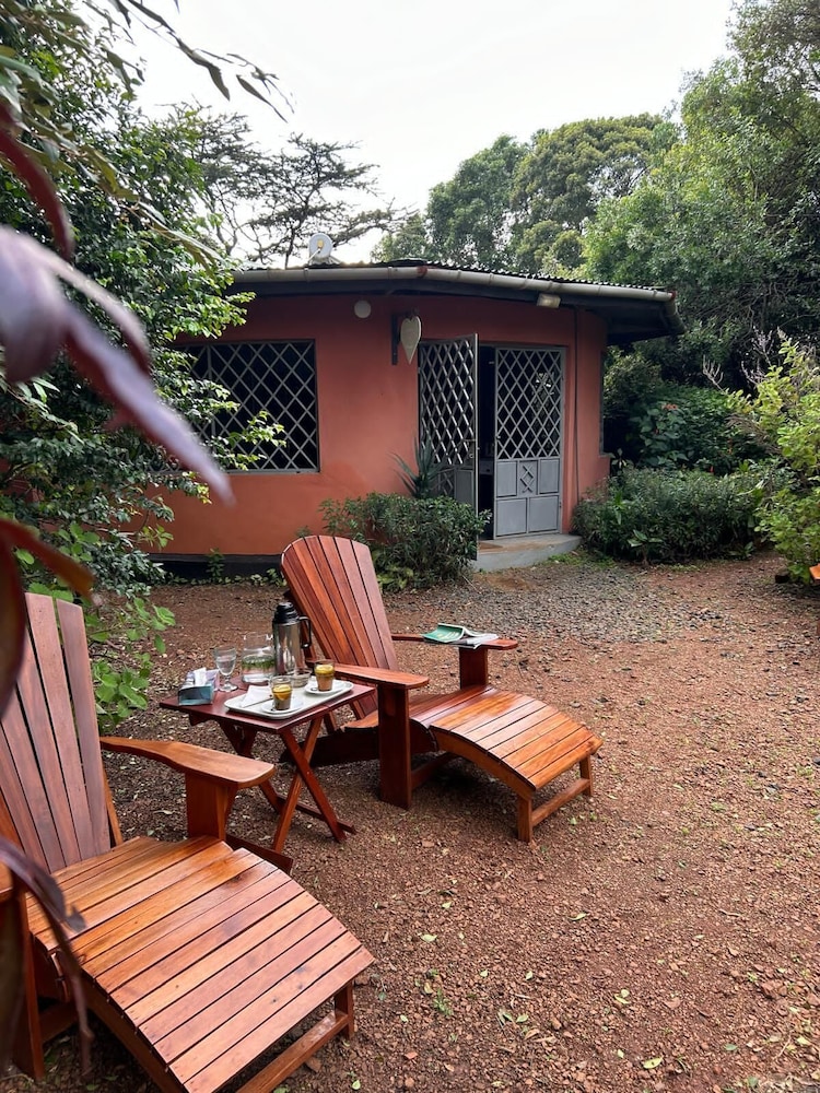 Superior Room, 2 Twin beds, Patio, Garden View photo 2