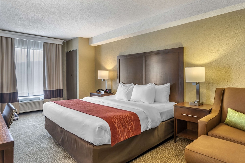 Standard Room, 1 King Bed with Sofa bed, Non Smoking (Shower Tub) photo 1