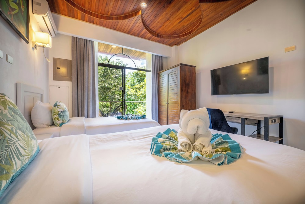 Suite Selva - Photo 4