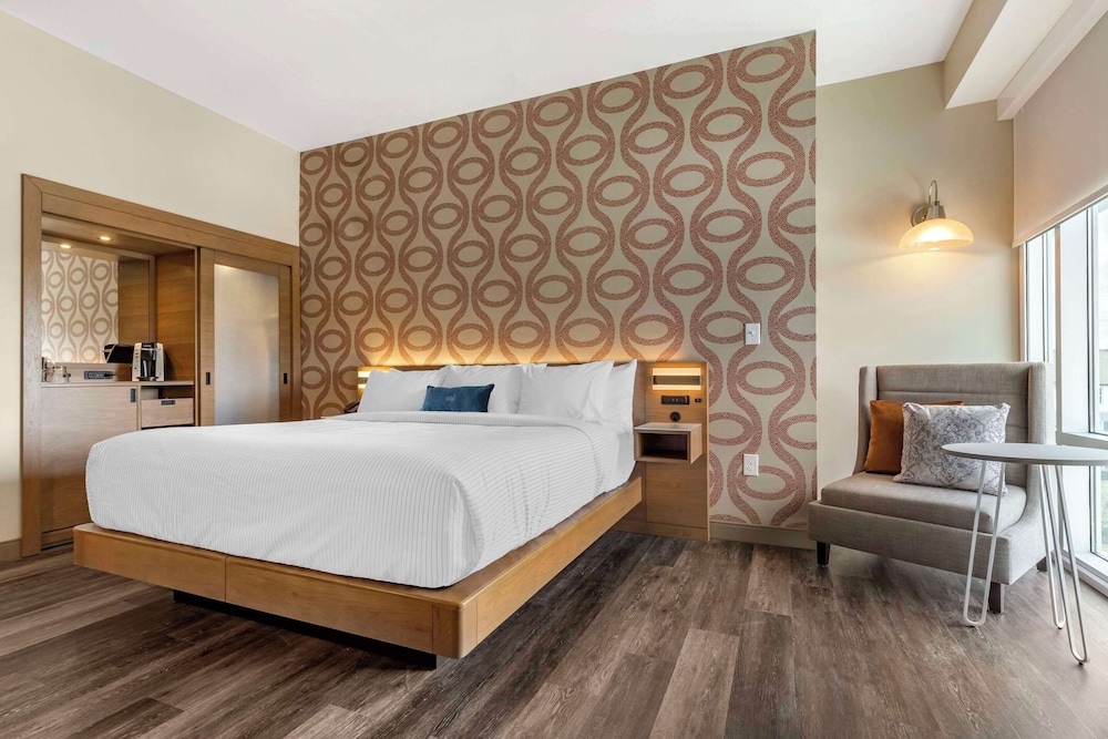 Standard Room, 1 King Bed, Non Smoking photo 1