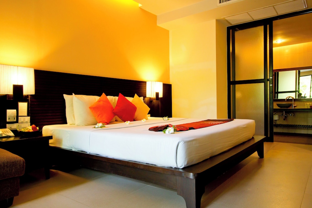 Tropical Chalay (Sunrise Wing) - Photo 1
