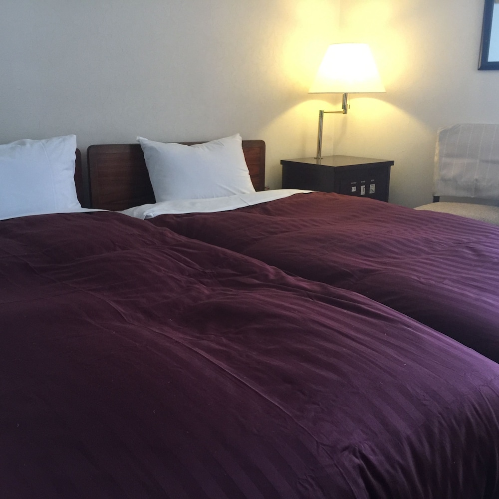 Twin Room, Mountain View photo 1