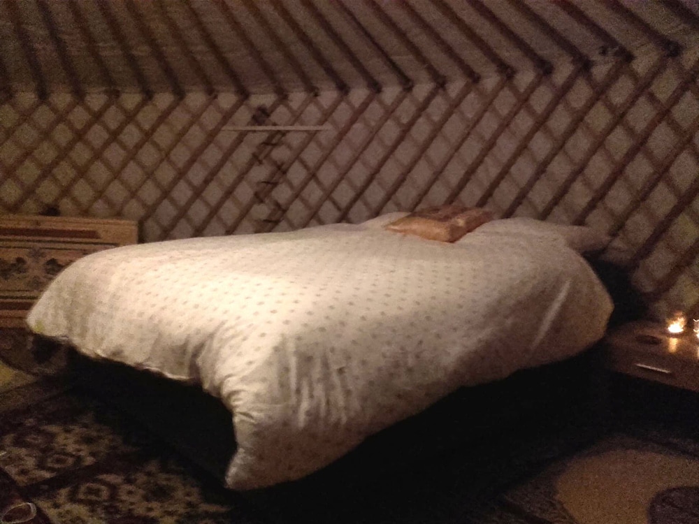 Tent - Photo 1