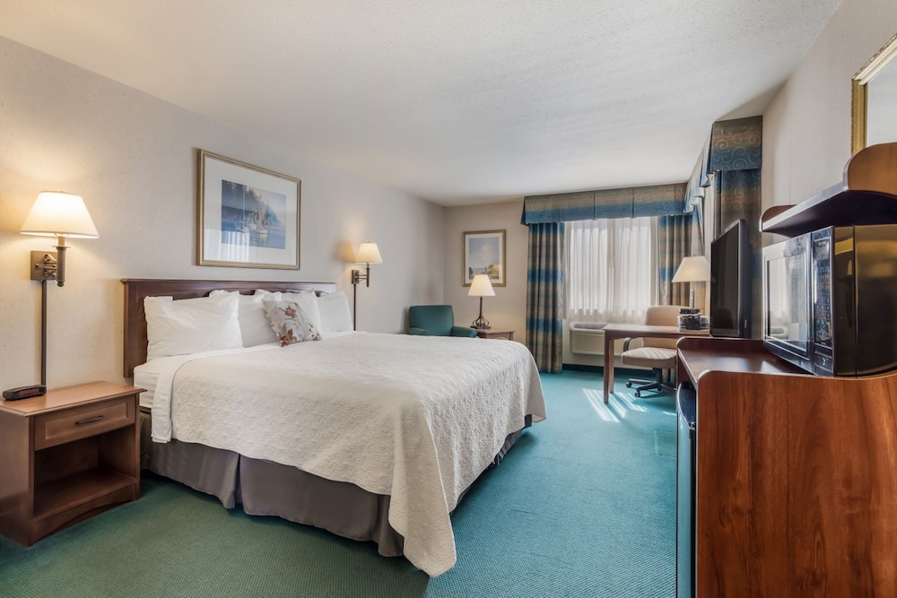 Superior Room, 1 King Bed, Lake View