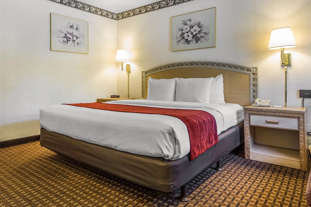 Standard Room, 1 King Bed - Photo 6