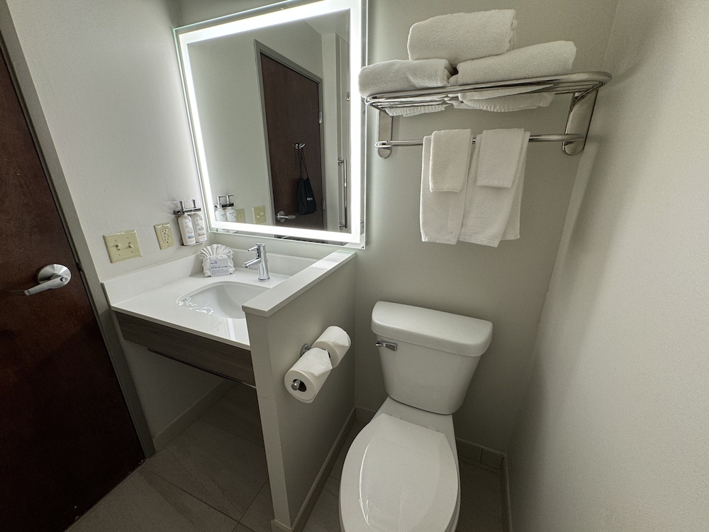 Suite, 1 Queen Bed, Fireplace - Photo 8