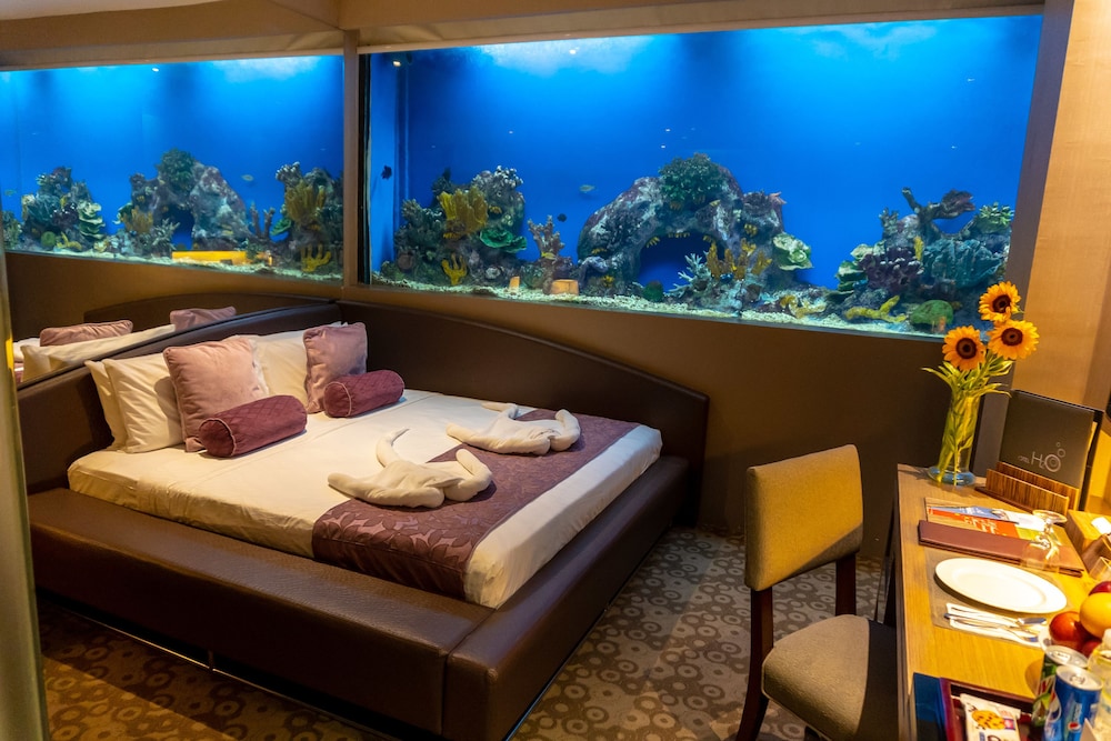 Aqua Room - Photo 9