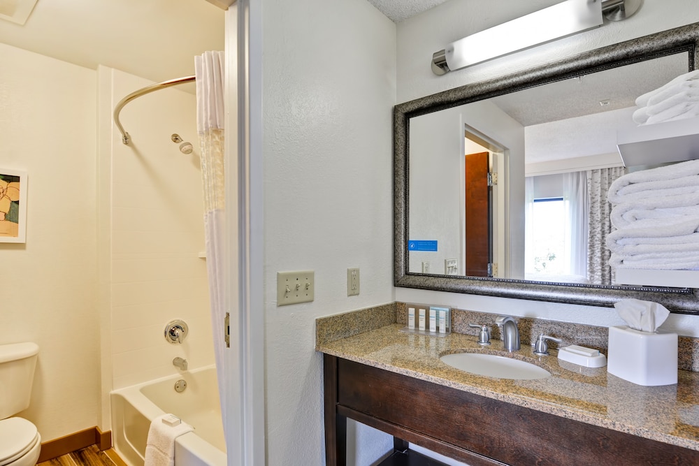 Suite, 1 King Bed, Non Smoking, Kitchenette