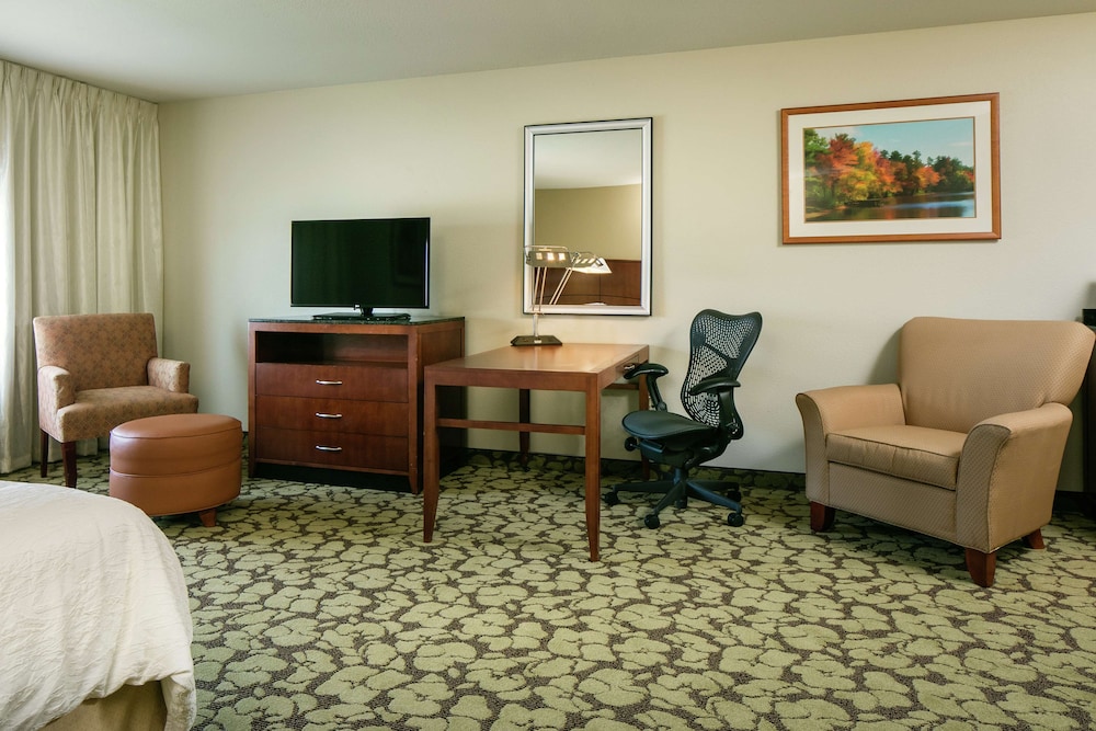 Suite, 1 King Bed, Accessible