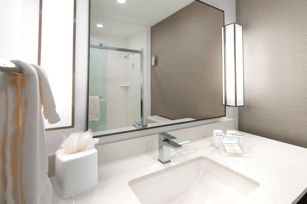 Suite, 1 King Bed, Accessible - Photo 9