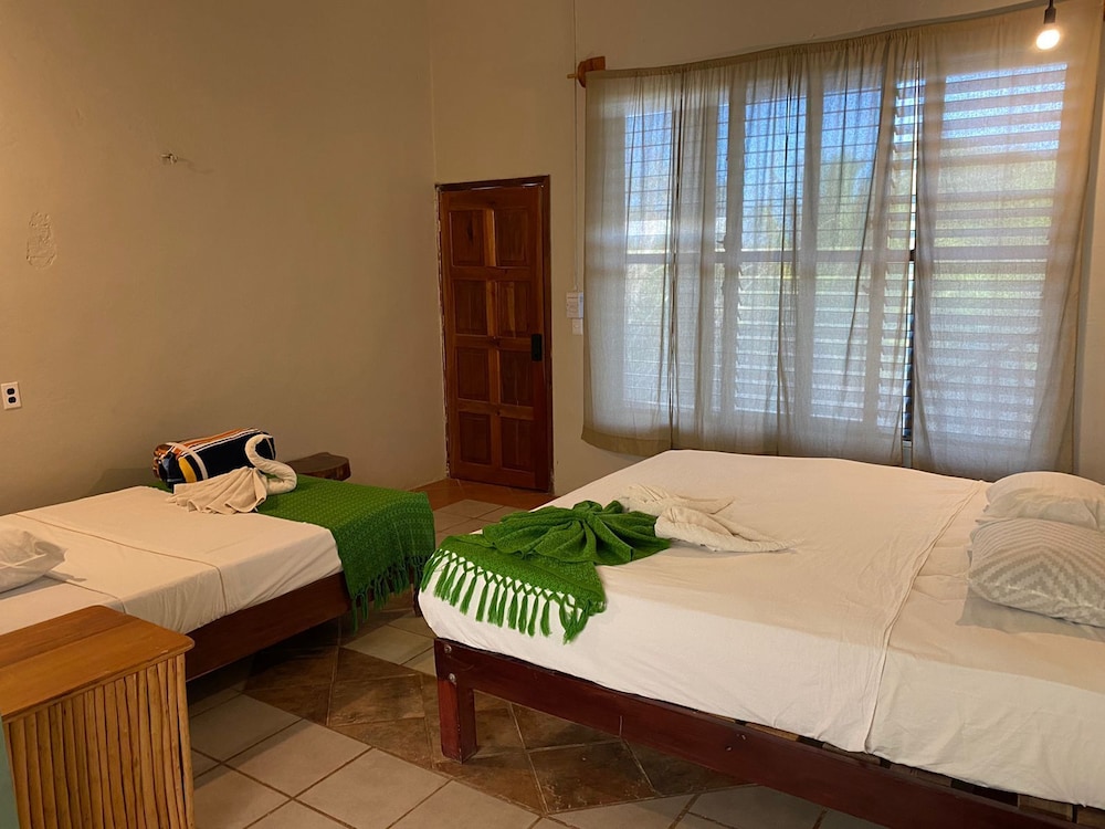 Traditional Room photo 2