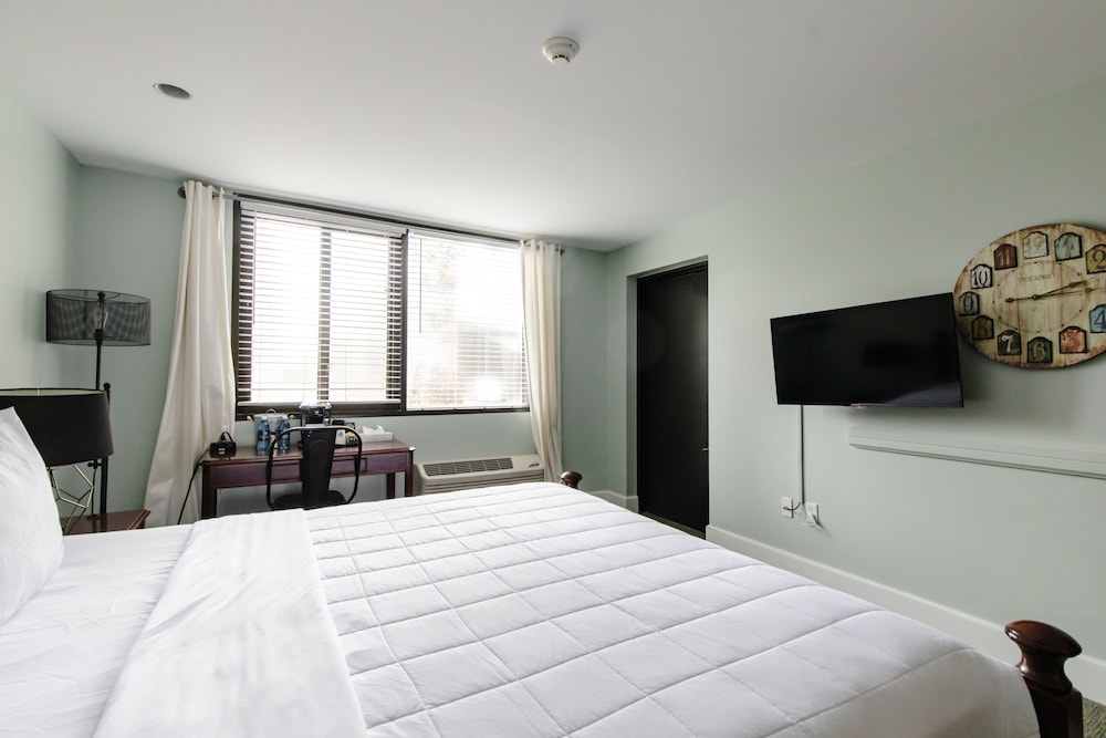 Room, 1 King Bed