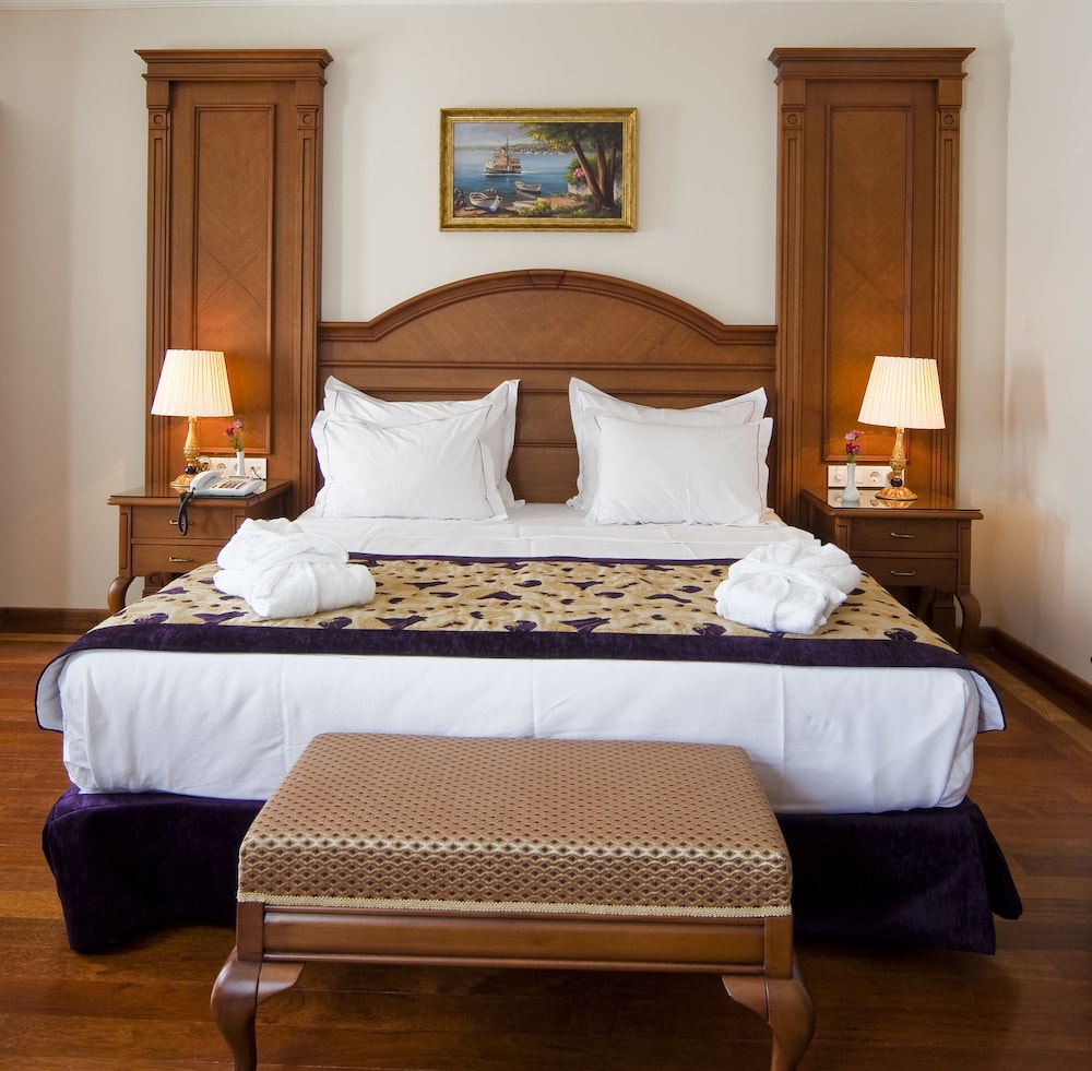 Deluxe Double or Twin Room photo 1