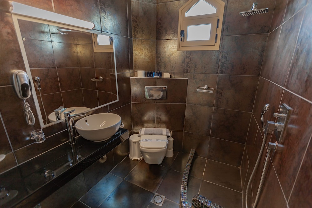 Premium Double Room photo 3