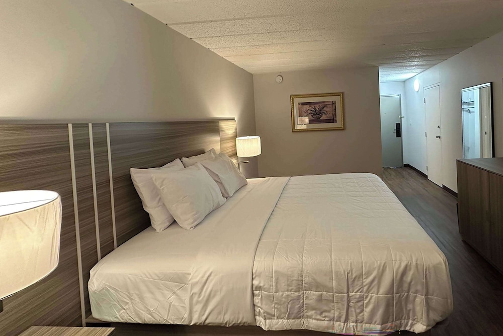 Room, 1 King Bed, Non Smoking - Photo 1
