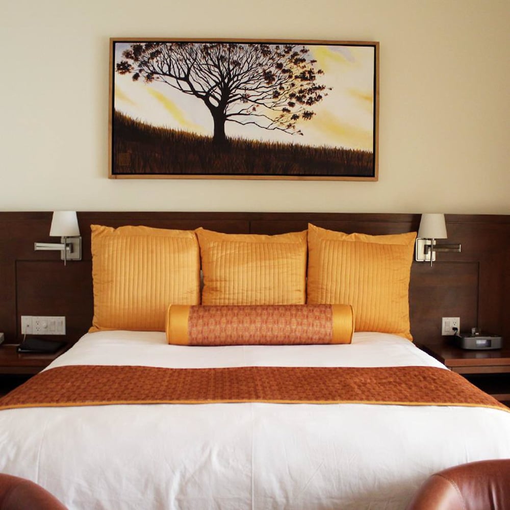 Basic Single Room, 1 King Bed photo 2