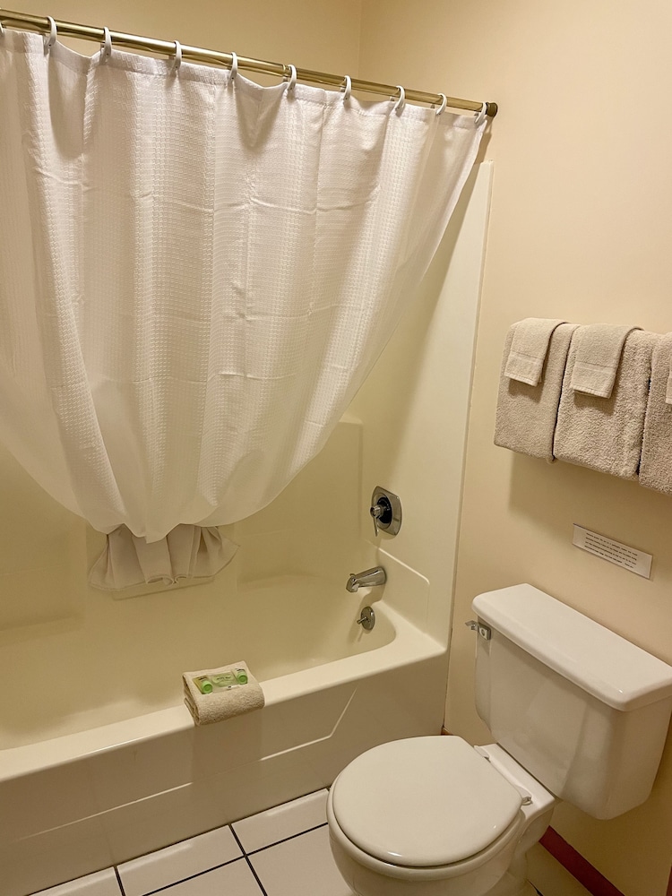 Comfort Motel Room (No Pets) photo 2