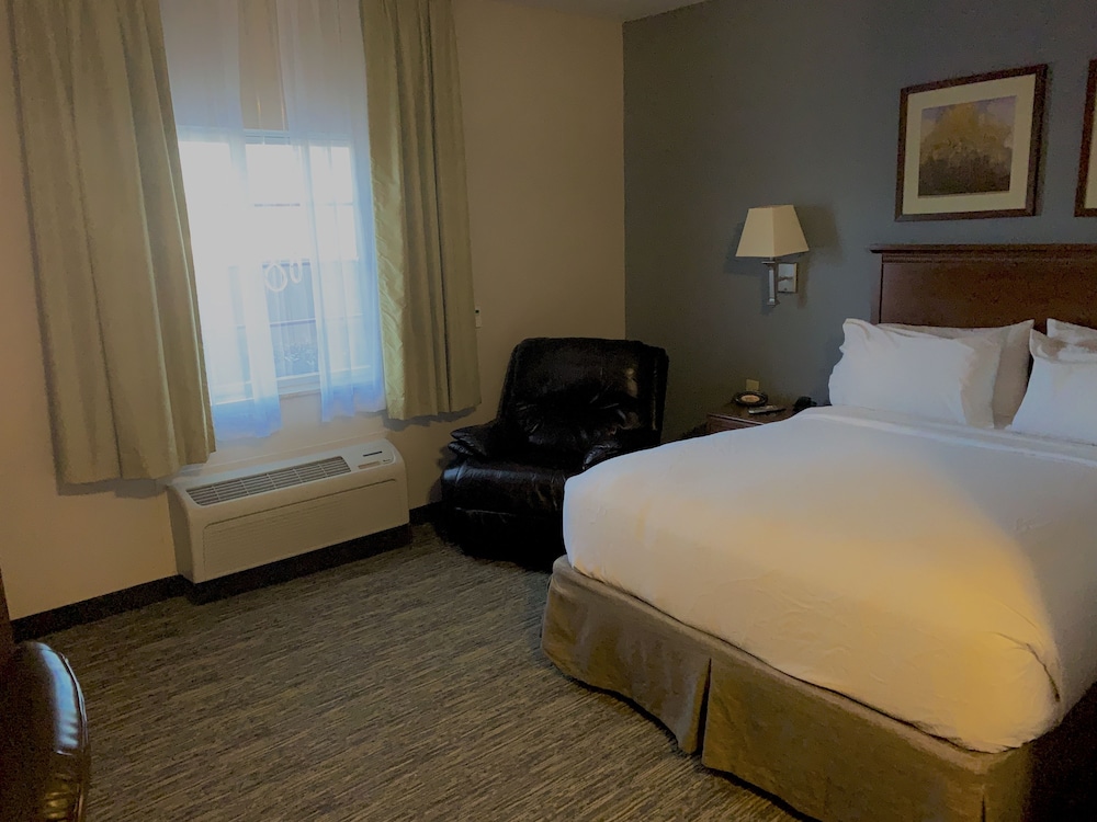 Studio Suite - Photo 4