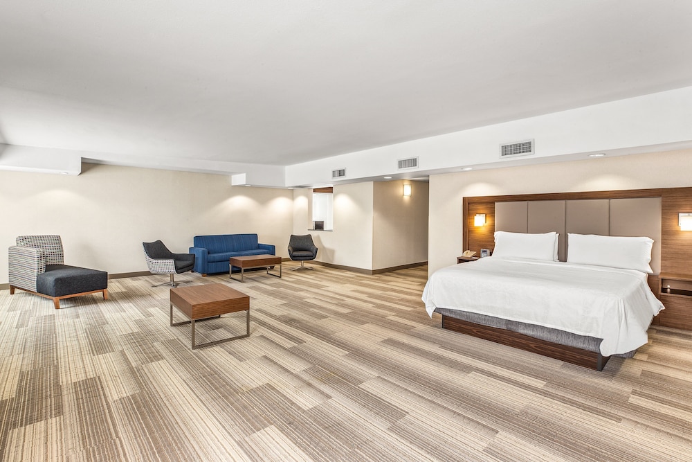 Suite, 1 King Bed (Extra Floor Space) photo 1