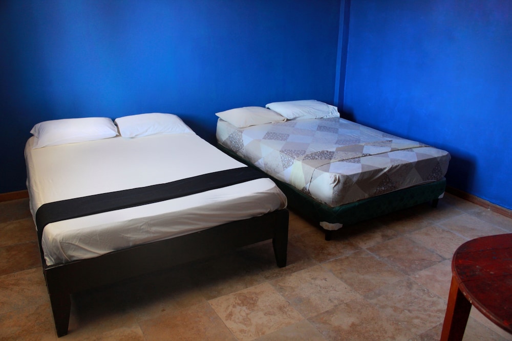 Comfort Room photo 3