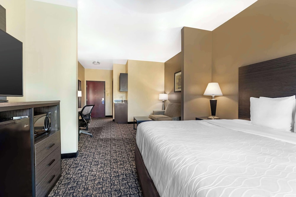Suite, 1 King Bed, Non Smoking, Refrigerator & Microwave (with Sofabed) - Photo 2