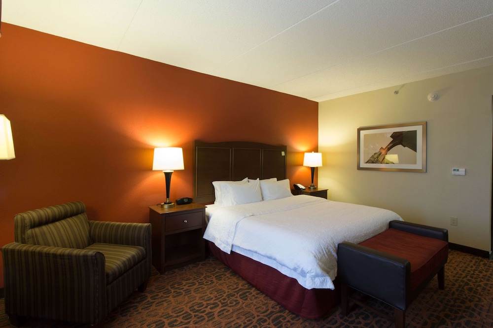 Room, 1 King Bed, Accessible, Bathtub - Photo 1