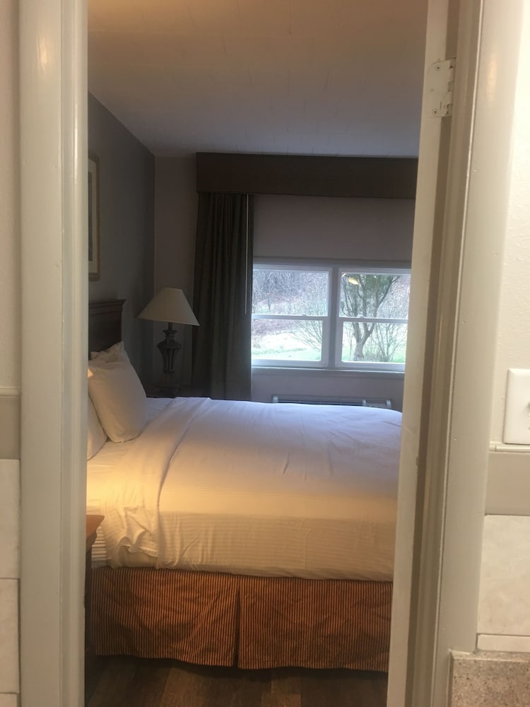 Room, 1 King Bed, Smoking