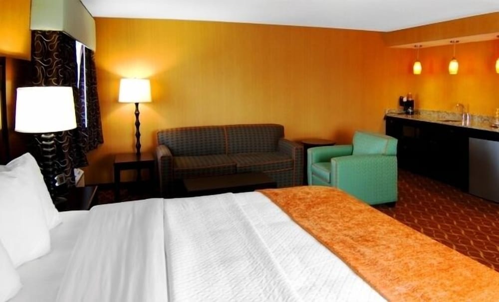 Suite, 1 King Bed, Non Smoking photo 1