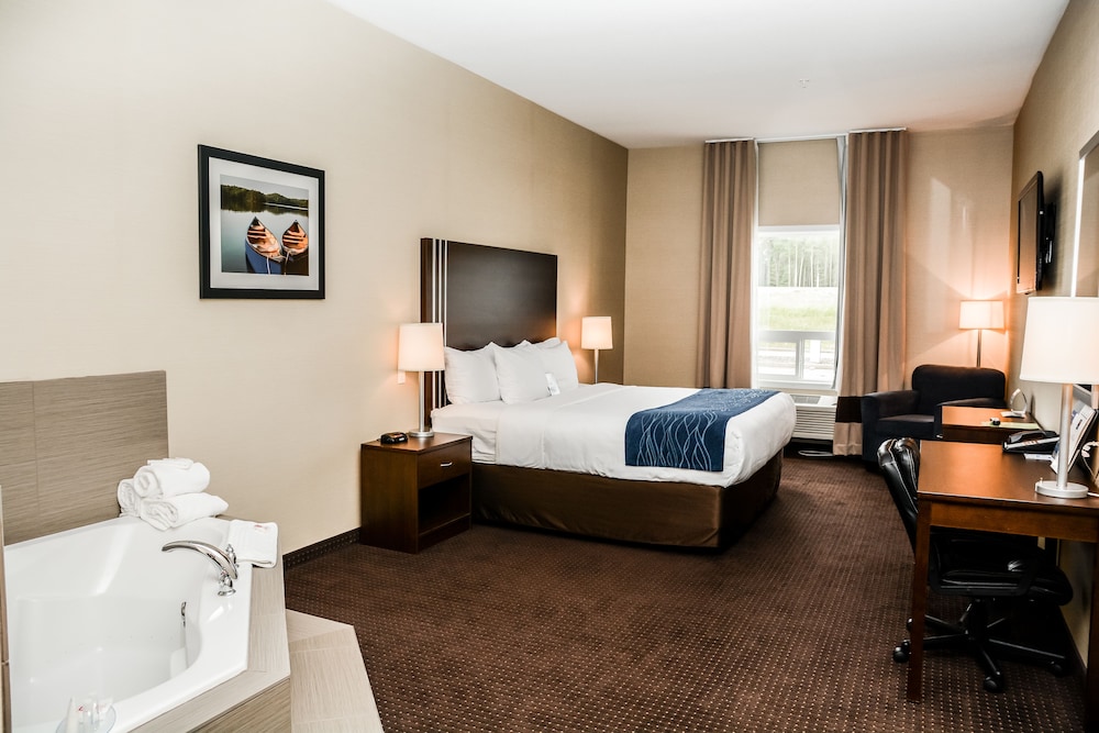 Suite, 1 King Bed With Sofa Bed, Non Smoking photo 1