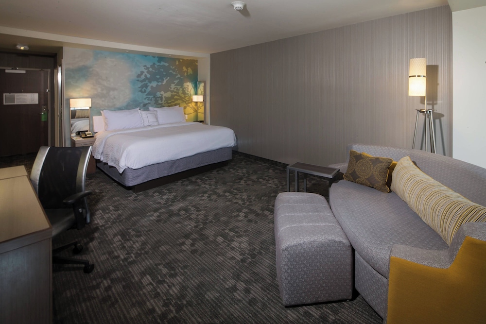 Room, 1 King Bed with Sofa bed photo 1