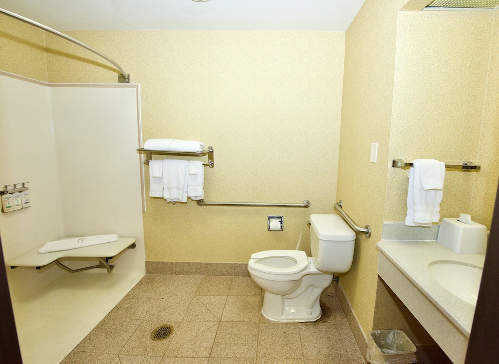 Standard Room, 1 Queen Bed, Accessible (Communications, Roll-In Shower) - Photo 4