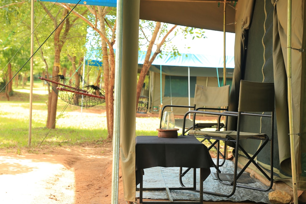 Family Glamping bordering Yala with a Guided Bush Walk photo 3