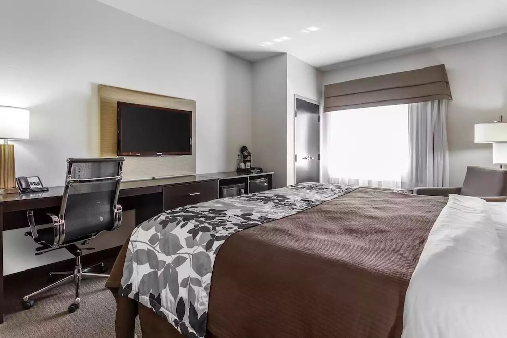Standard Room, 1 King Bed, Non Smoking - Photo 2