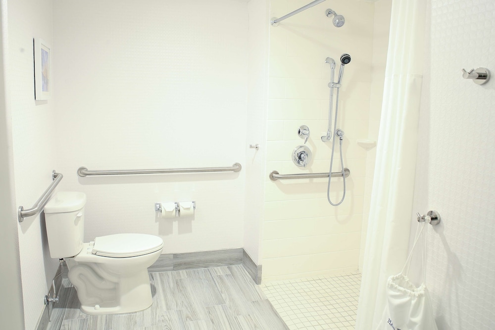 Room, 1 King Bed, Accessible (Mobility & Hearing, Roll-in Shower) photo 3