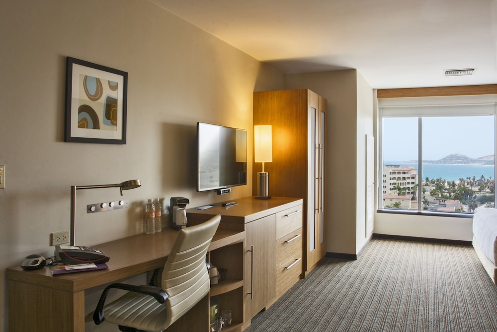 Room, 1 King Bed (no Sofabed)