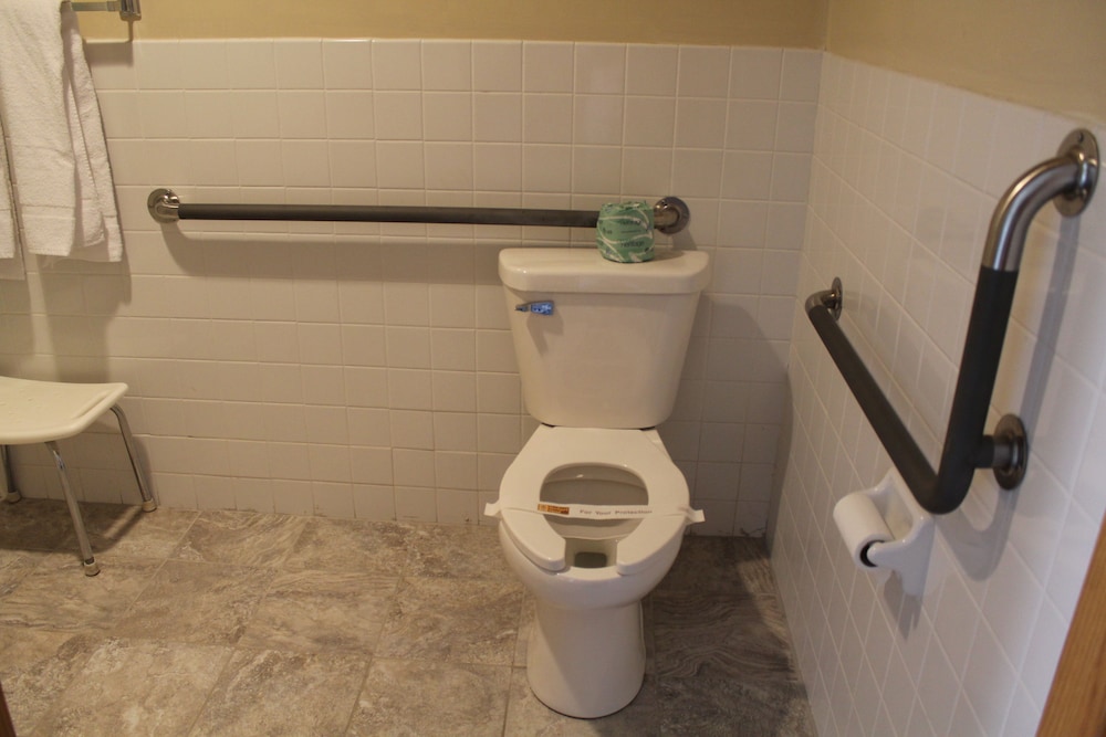 Standard Room, 1 King Bed, Accessible, Non Smoking photo 2